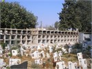 ΣΑΡΚΟΦΑΓΟΙ ΔΗΜΟΤΙΚΟΥ ΚΟΙΜΗΤΗΡΙΟΥ