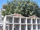 ΣΑΡΚΟΦΑΓΟΙ ΔΗΜΟΤΙΚΟΥ ΚΟΙΜΗΤΗΡΙΟΥ