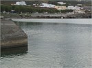 ΕΚΒΑΘΥΝΣΗ ΜΑΡΙΝΑΣ ΑΓΙΑΣ ΠΕΛΑΓΙΑΣ ΚΥΘΗΡΩΝ